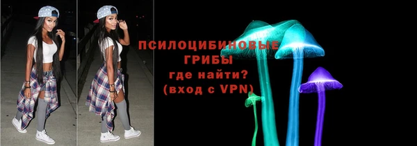 сатива Алексин