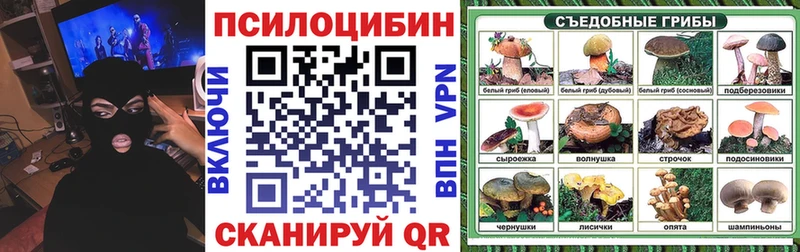 Псилоцибиновые грибы мухоморы  купить наркоту  Апатиты 