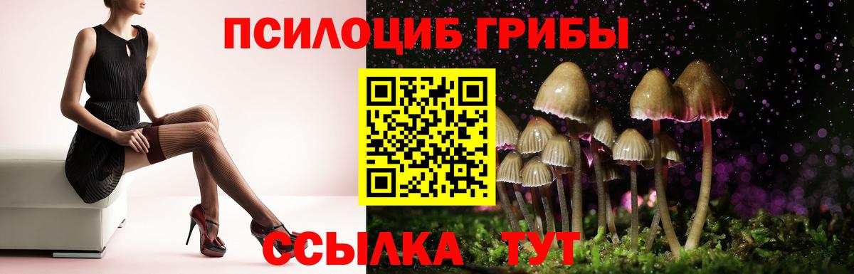 Галлюциногенные грибы MAGIC MUSHROOMS  Вход с VPN  наркотики  Псилоцибиновые грибы GOLDEN TEACHER  Апатиты 